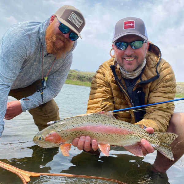 Rainbow Trout