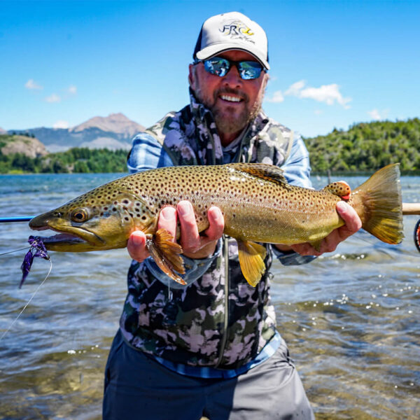 Brown Trout