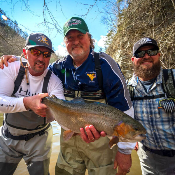 Rainbow Trout