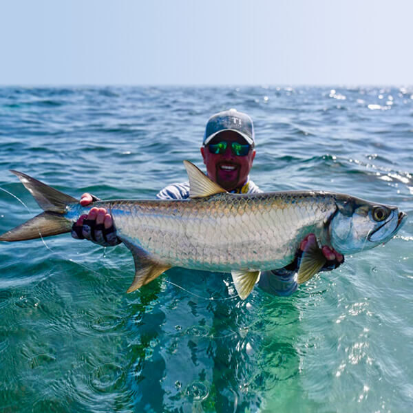 Tarpon